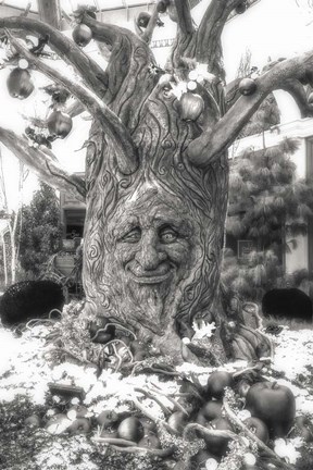 Framed Magical Tree Print