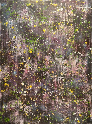 Framed Universal Entropy Print