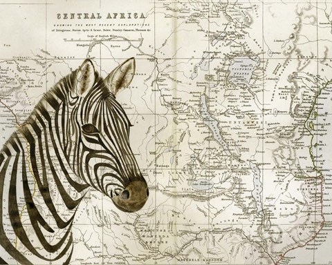 Framed Burchell&#39;s Zebra Print