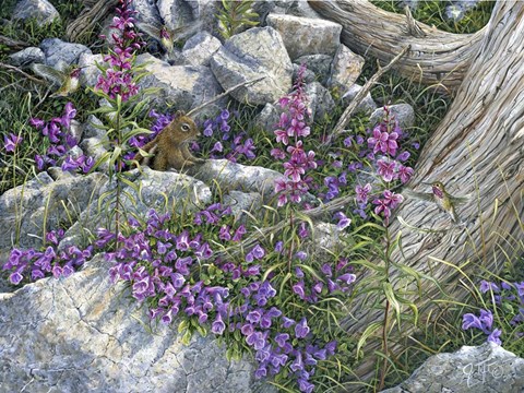 Framed Squirrel Painting Print