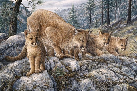 Framed Cat Family Print