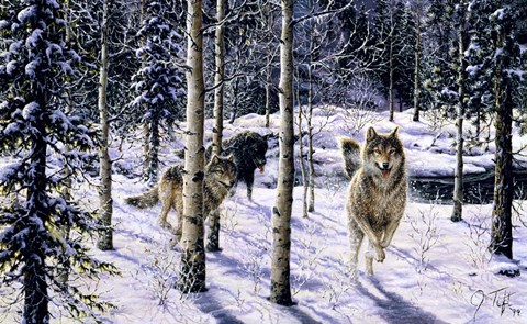 Framed Pursuit Print