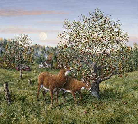 Framed Whitetails Under The Apple Tree Print