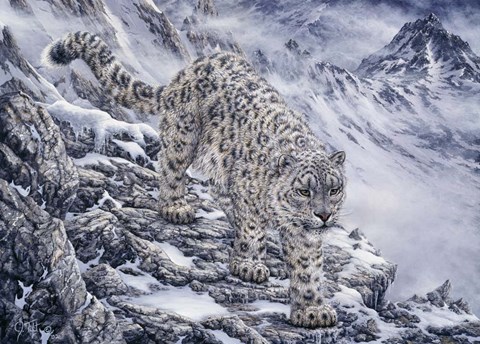 Framed Snow Leopard Print