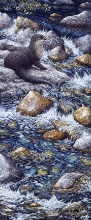 Framed River Otter 2 Print