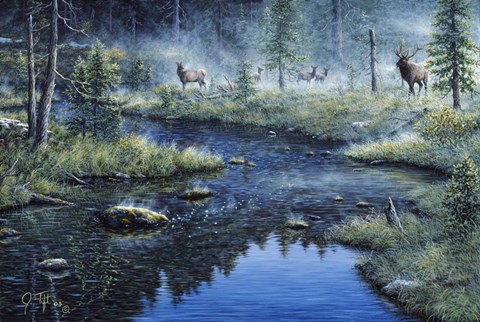 Framed Misty Morning Print