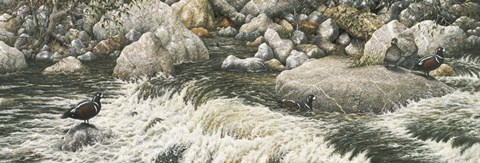 Framed Swift Water Print