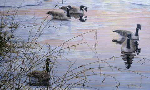 Framed Sunset Serenity Print