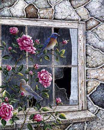 Framed Bluebirds In Window Print