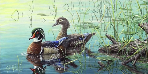 Framed Wood Ducks Print
