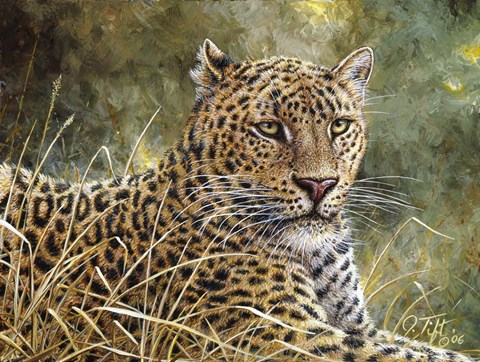 Framed Leopard Portrait Print