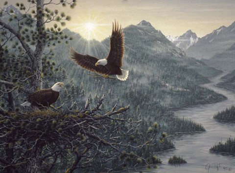 Framed Eagles Nest Print
