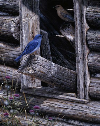 Framed Meeting Place Print