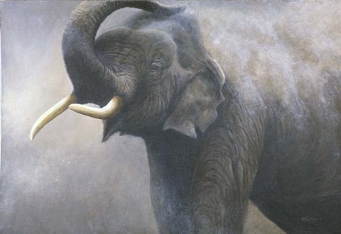 Framed Asian Elephant Dusting Print