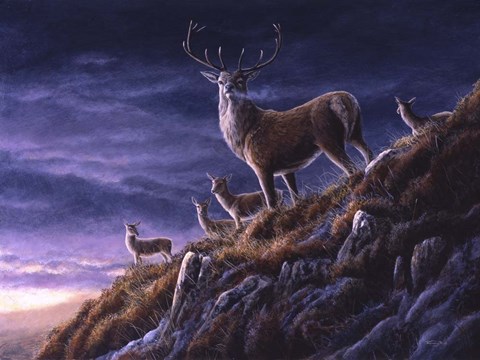 Framed Threatening Sky Red Deer Print