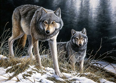 Framed Over The Ridge Wolves Print
