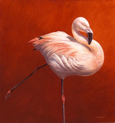 Framed Flame Bird Flamingo Print