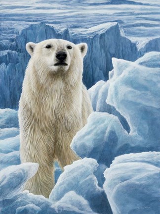 Framed Ice Bear Polar Bear Print