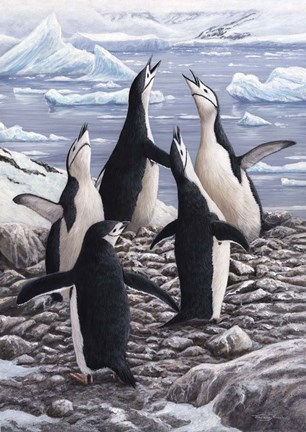 Framed Chorus Chinstrap Penguins Print