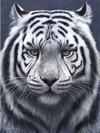 Framed White Tiger Ghost Print
