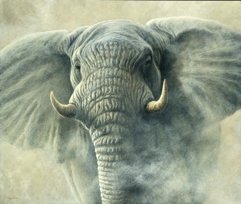 Framed Storm Elephant Print
