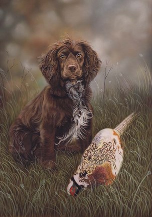 Framed Cocker Spaniel Tia Print