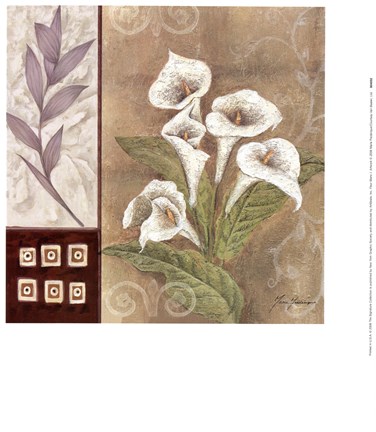 Framed Fleur Blanc I Print