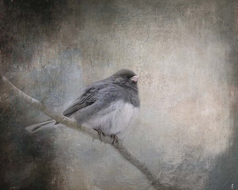 Framed By Winter's Light Print