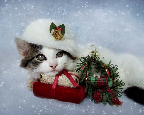 Framed Christmas Kitten In The Snow Print