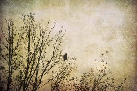 Framed Greeting The Sun Print