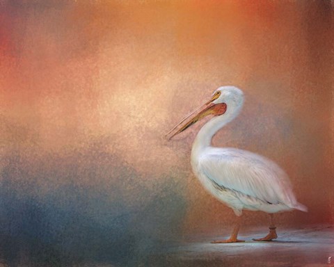 Framed Pelican Walk Print