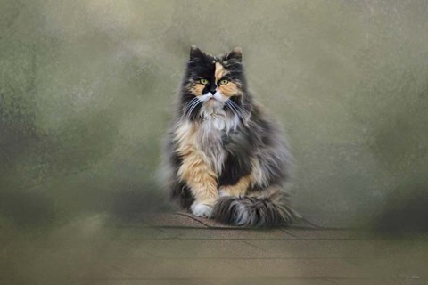 Framed Rooftop Roost Print