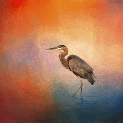 Framed Sunset Heron Print