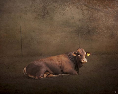 Framed Tag Number 1108 Print