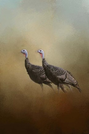 Framed Wild Turkey At Shiloh Print