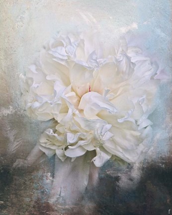 Framed Abstract Peony In Blue Print