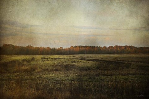 Framed Autumn Flame Print