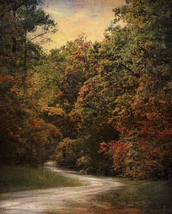 Framed Autumn Forest 1 Print