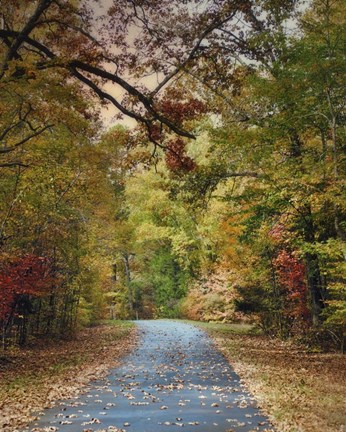 Framed Autumn Passage 3 Print