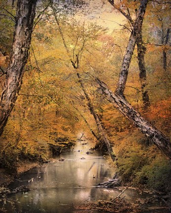 Framed Autumn Riches 1 Print