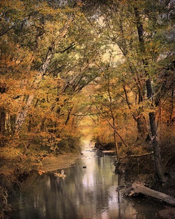 Framed Autumn Riches 2 Print