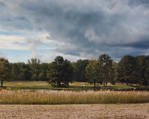 Framed Behind Natures Fence Print