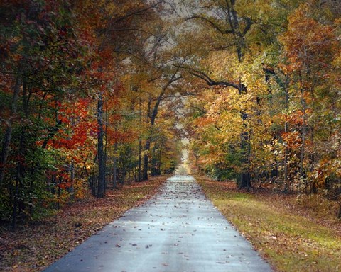 Framed Changing Season 1 Print