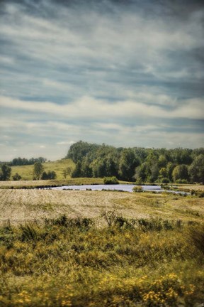 Framed Country Ensemble Print