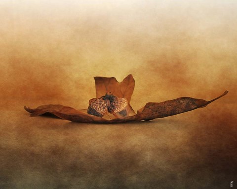 Framed Fallen Together Print