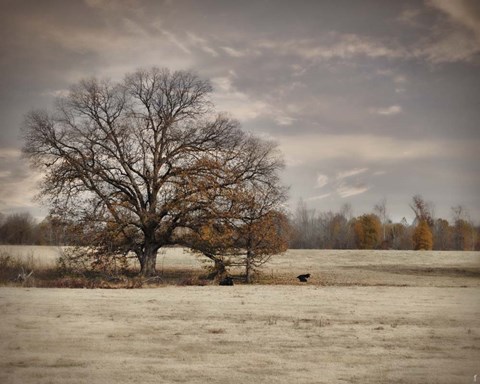 Framed Lazy Autumn Day Print