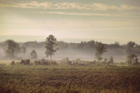 Framed Lifting Fog Print