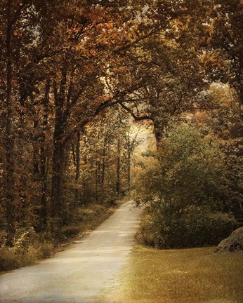 Framed Morning Walk Print
