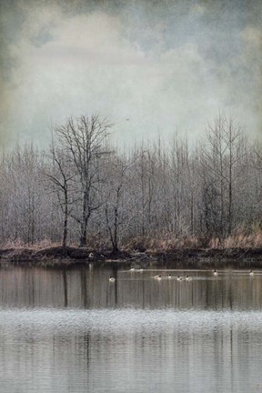 Framed Winter Solitude Print