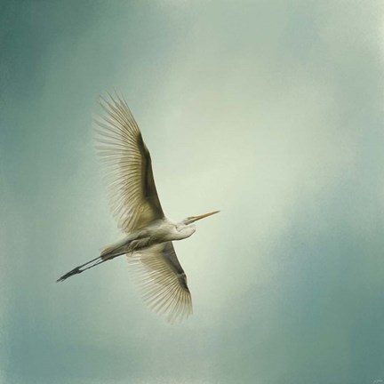 Framed Egret Overhead Print